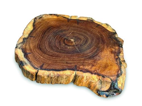 Small teak root slice placemat - small,