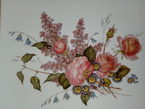Vintage pimpernel boxed small - vintage,